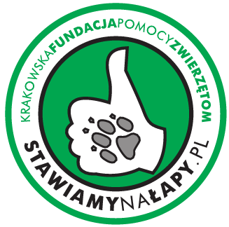 Fundacja Stawiamy na Łapy — patron medialny